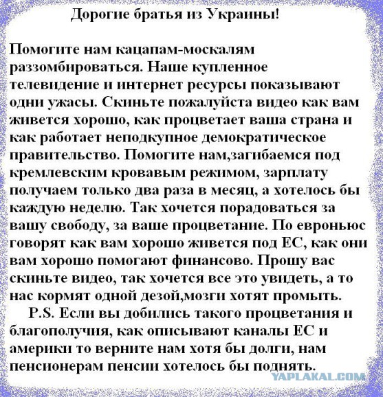 Ну не все же там оскотинились