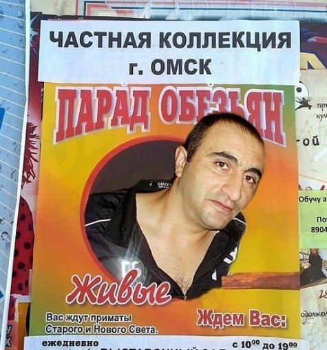 Приколы из сети