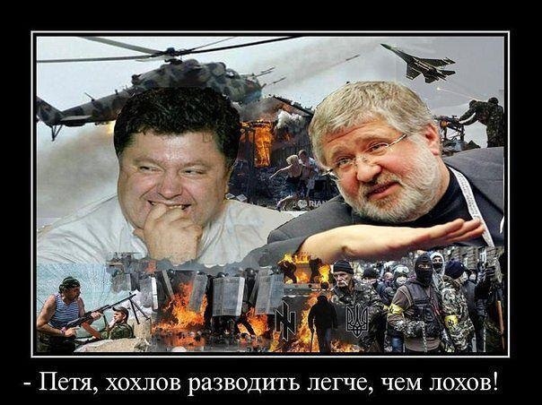 Солянка политическая #8