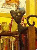 Из батальона "Голубая устрица"