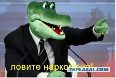 "Купи мне черешни!"
