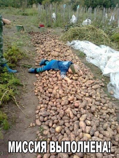 Немного картинок и демотиваторов