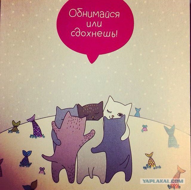 Картинки из вацапа