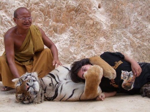 Подборка картинок 02.03.16