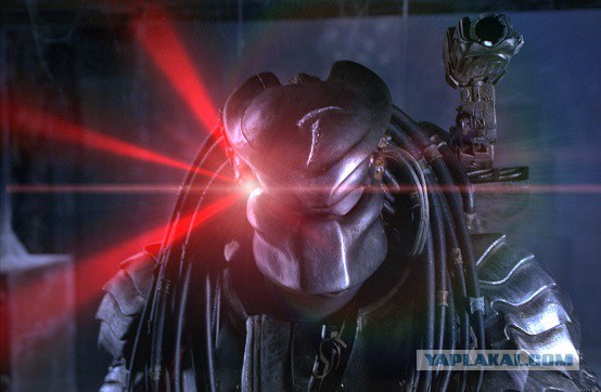 Лазерная указка и реакция животных на нее