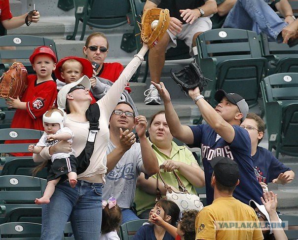 Подборка интересных и веселых картинок
