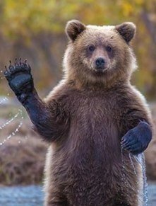 Божьи твари