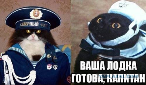Опасные игры холодной войны