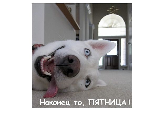 Картинки на пятницу