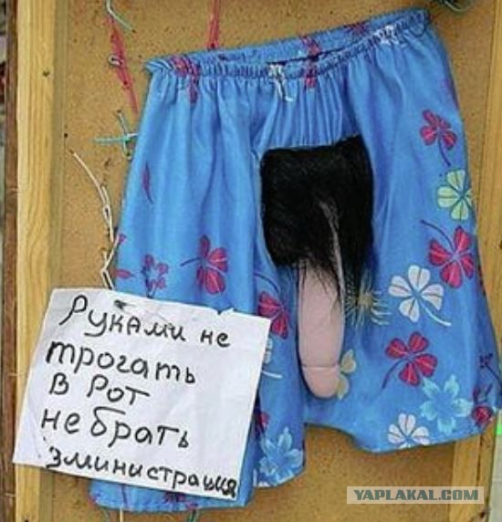 Подборка необычных объявлений о запрете тех или иных действий)