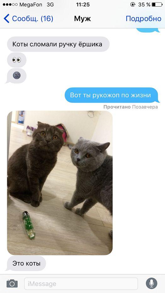 Ужасы и приколы из соцсетей 18+