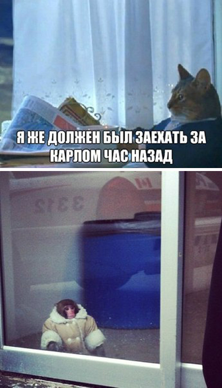 Юмор не для всех