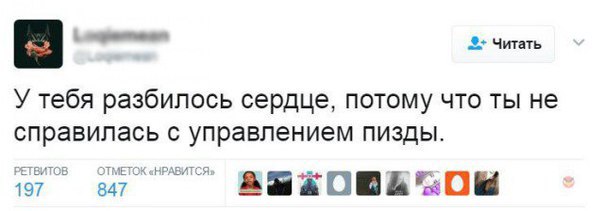 Картинки из мусорной корзинки 2
