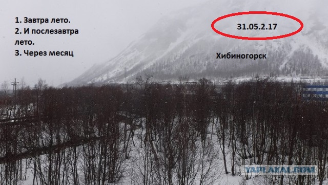 Чёрный юмор к началу летнего сезона