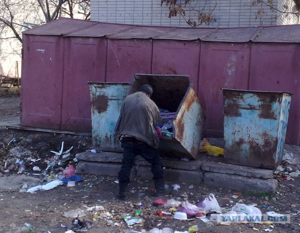 Странное  существо в Оренбургской области