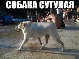 Футбол. Чемпионат России 2017-2018 часть 5