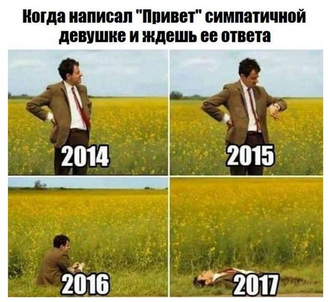 100 картинок для поднятия настроения!