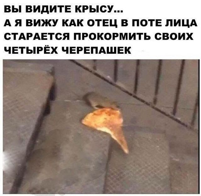 100 картинок для поднятия настроения!
