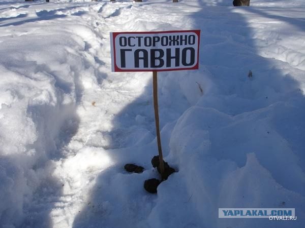 Представь самый страшный позор в твоей жизни..