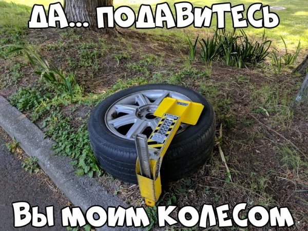 Нестандартный юмор