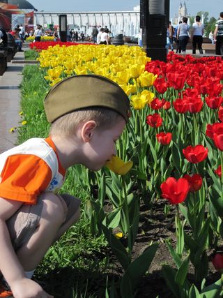Бессмертный полк ЯП