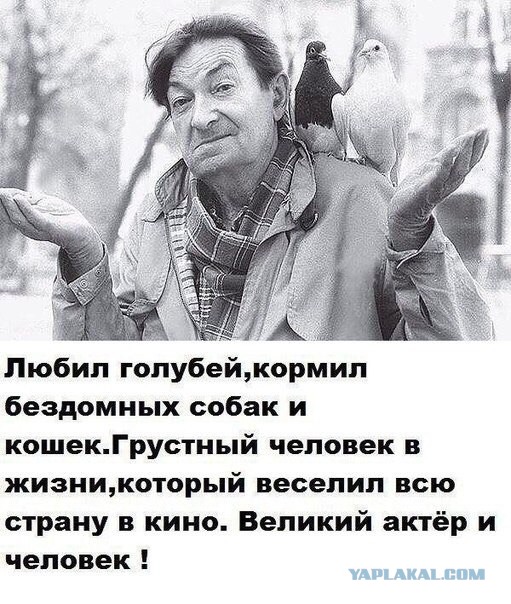Когда знаменитости нормальные люди