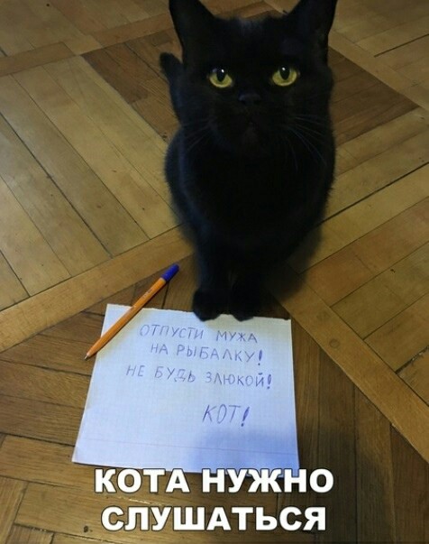 «Картинки всякие нужны, картинки всякие важны» ©