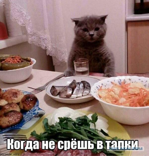 Почему я женился на русской (рассказ турецкого друга)