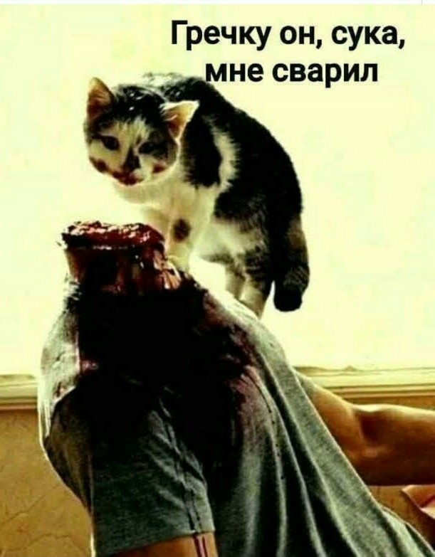 Аморальная деградация