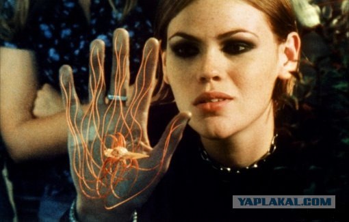 Что это такое?