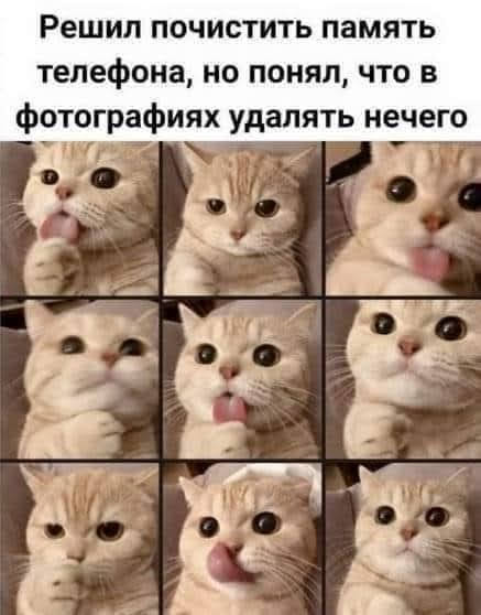 Всяческие картинки 16.06.2021