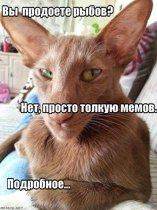 Подробное толкование мема "про рыбов и котиков" для чайников. Часть I