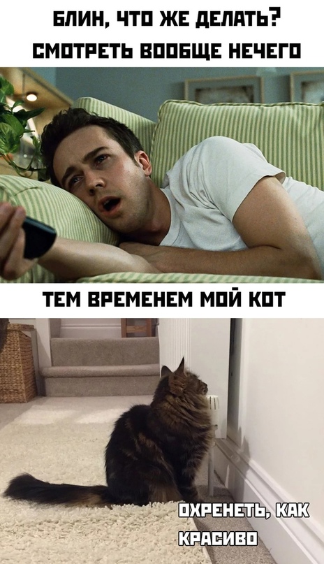 Весёлый полтишок 09.10