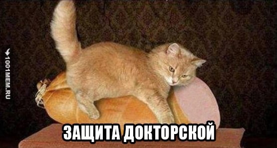Картинки и мемы для настроения 01.12.2021