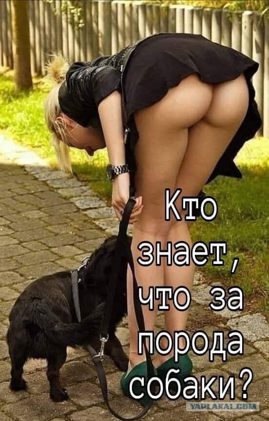 Так себе картинки 13.04.22