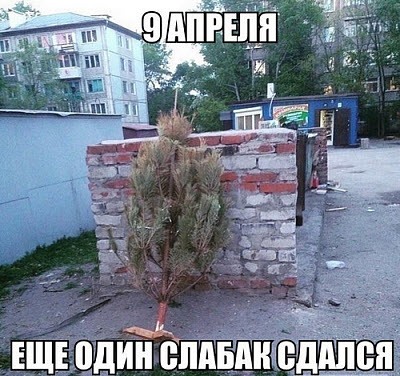 50 оттенков серого. Vol.9 Или самосвал баянов