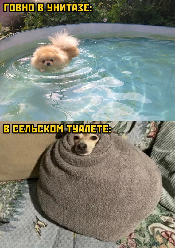 Весёлый полтишок 07.01.23