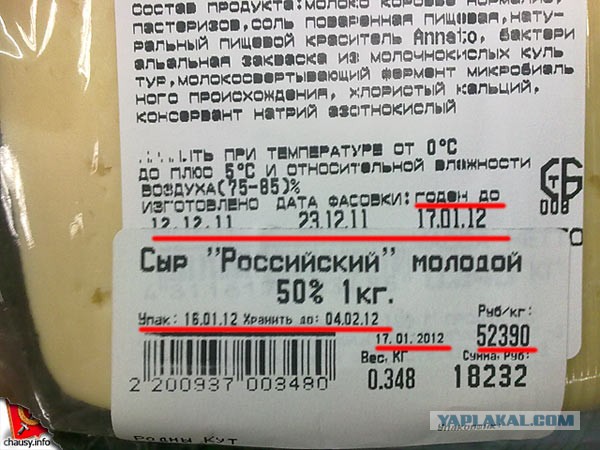 В РФ придумали, что делать с самолетами, в техобслуживании которых отказывают западные компании