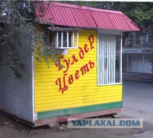 Приколы из Казахстана