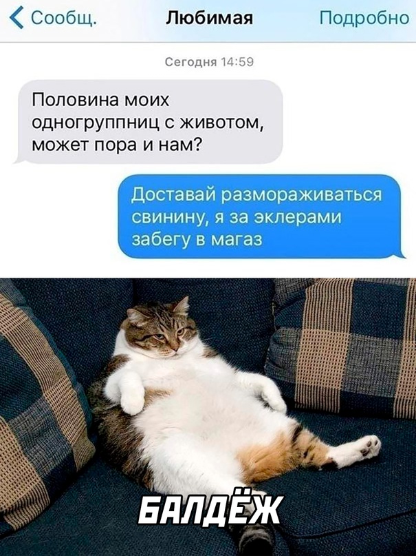 Весёлый полтишок 12.11.23