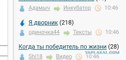 Я дворник