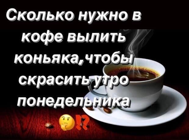 19259556.jpg