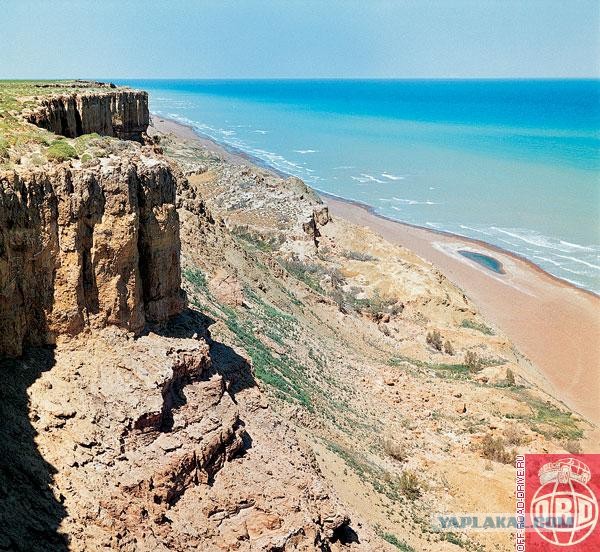 Узбекистан. Корабли пустыни.