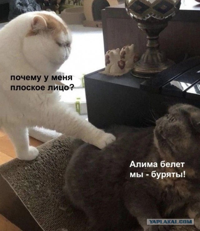 Шрек 5 часть