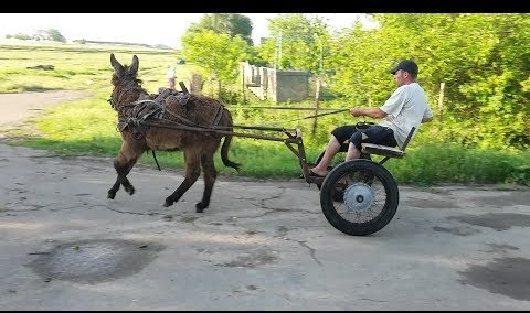 Как бы не прискорбно это было