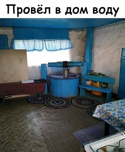 Мой кот