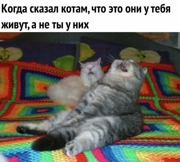 Картинки для деградации 270 (разной степени свежести)