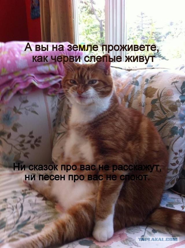 Давайте придумаем подпись к фотке=)