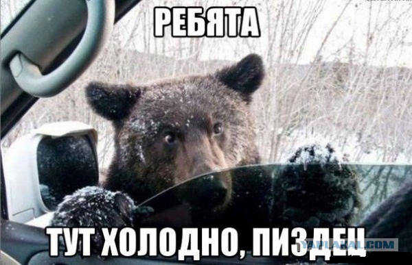 Смешные комментарии из социальных сетей (часть 5)