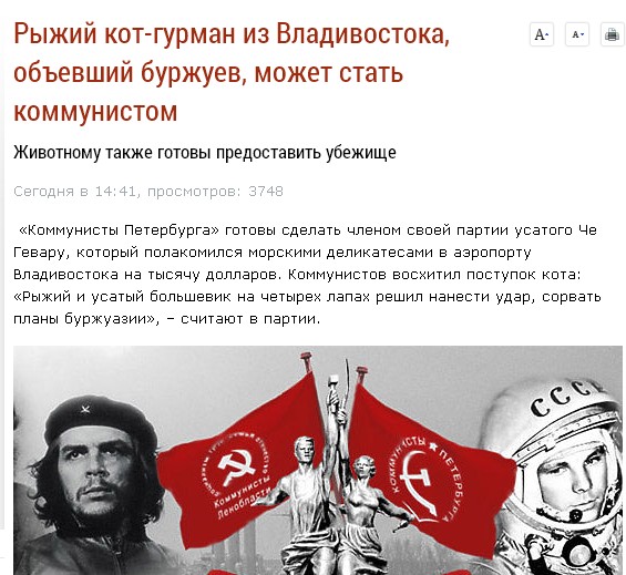 Кот пообедал в аэропорту на 60 тыс. рублей.